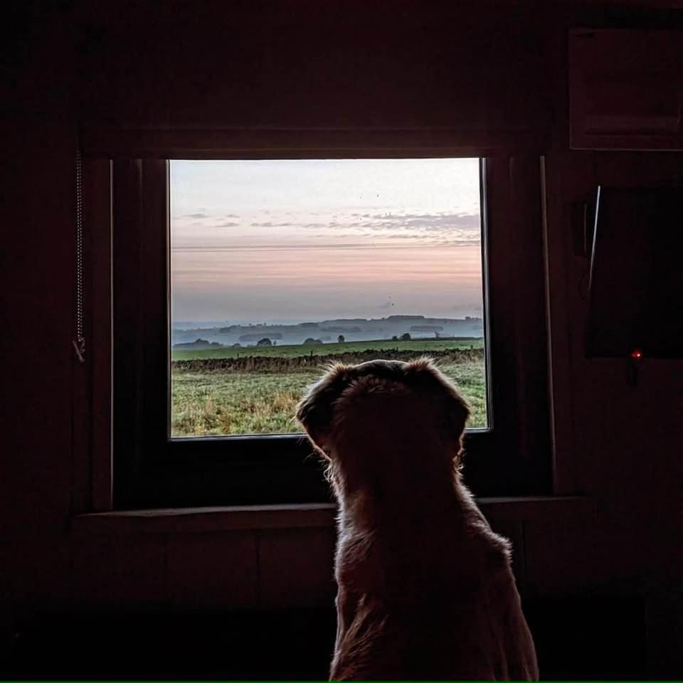 Luxury Shepherd Hut In The Peak District Bakewell Zewnętrze zdjęcie